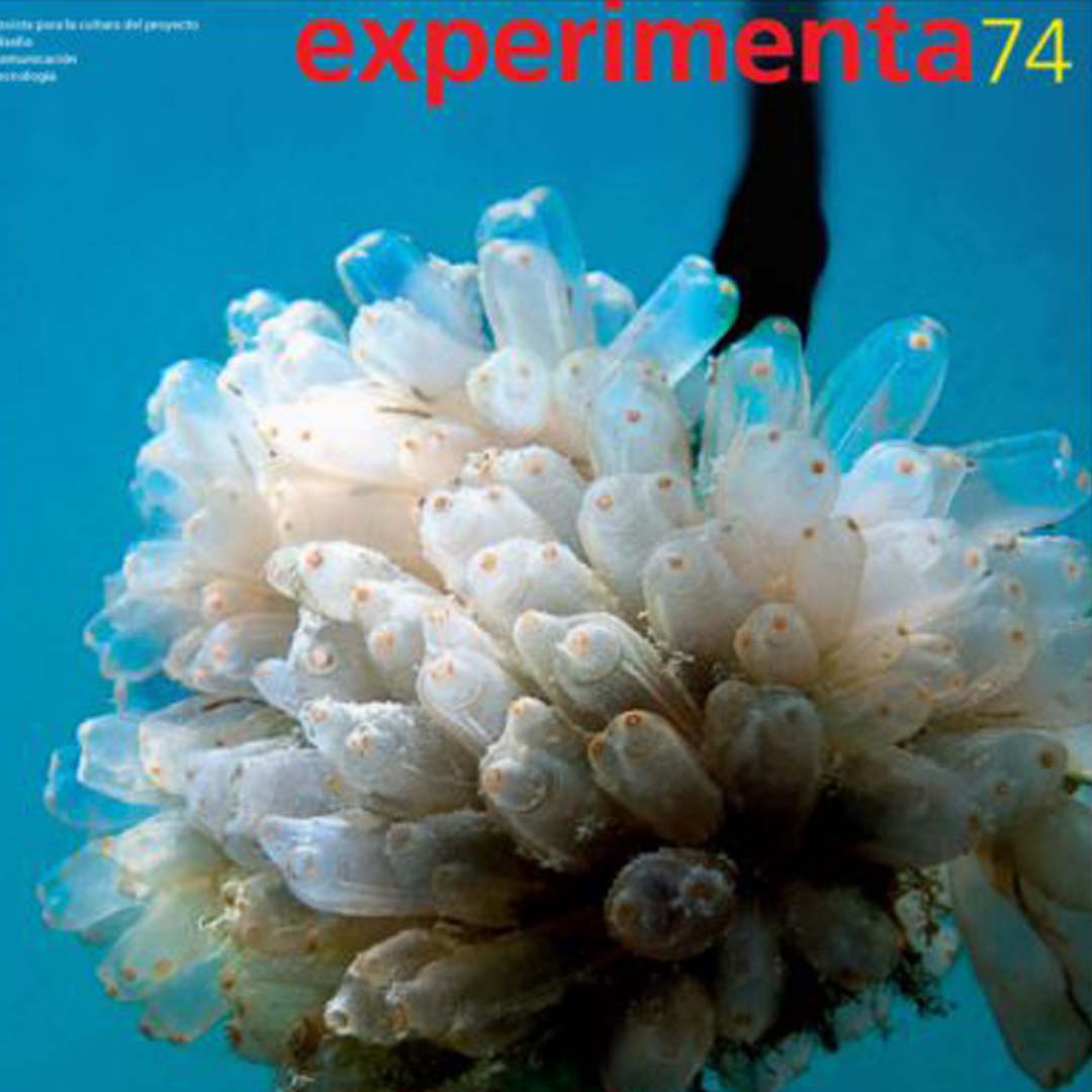 Revista Experimenta 74
